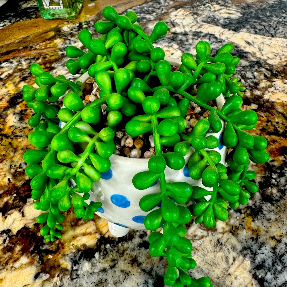 Faux succulent